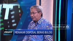 Cegah Disposal Beras Bulog, Ini Saran Bustanul Arifin