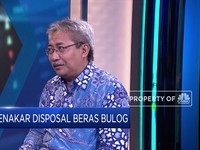 Cegah Disposal Beras Bulog, Ini Saran Bustanul Arifin