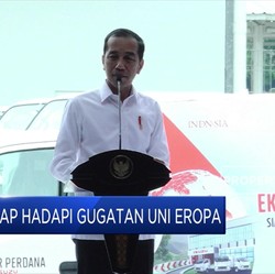 Jokowi Yakin RI Kalah di WTO Soal Nikel, Ternyata Ini Masalahnya