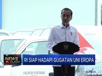 Jokowi Yakin RI Kalah di WTO Soal Nikel, Ternyata Ini Masalahnya