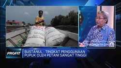 Ekonom: Penanganan Masalah Industri Pupuk Masih Lamban