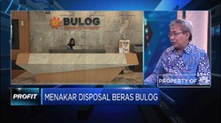 Pandangan Bustanul Arifin Pada Kasus Rusaknya Beras Bulog
