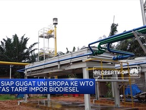 RI Siap Gugat Uni Eropa ke WTO Soal Tarif Impor Biodiesel