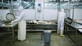 Merek Queen Kaluga dibuat pada 2005 oleh para ahli yang bekerja untuk Kementerian Pertanian China. Saat ini perusahaan tersebut telah memproduksi sepertiga dari kaviar dunia. (Photo by WANG ZHAO / AFP)
