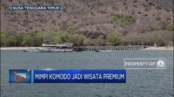 Mimpi Komodo Jadi Wisata Premium