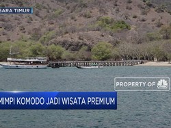 Mimpi Komodo Jadi Wisata Premium