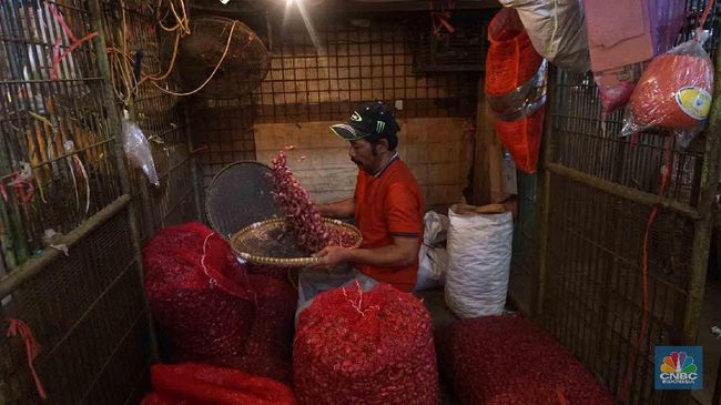 Jelang Natal dan iTahuni Baru iHargai iBahani iPokoki Melesat Jelang Natal dan iTahuni Baru iHargai iBahani iPokoki Melesat