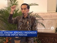 Ini Rentetan Kekesalan Jokowi Hari Ini