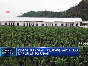 Cisadane Sawit Raya Siap Gelar IPO Saham
