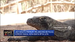Labuan Bajo Bakal Jadi Wisata Premium, Tiket Masuk Rp 14 Juta