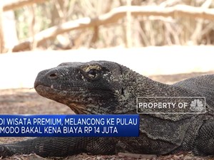 Labuan Bajo Bakal Jadi Wisata Premium, Tiket Masuk Rp 14 Juta