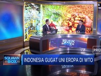 Ukur Langkah RI Menggugat Uni Eropa di WTO