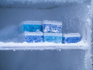 Bunga Es Bikin Freezer Penuh? Begini Cara Bersihkannya