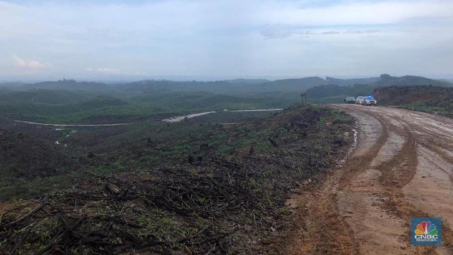 Sebagian lahan ibu kota baru di kecamatan Sepaku, Kabupaten Penajam. (CNBC Indonesia/Chandra Gian Asmara)