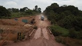 Sejak itu kawasan Amazon perlahan-lahan dirambah untuk industri kayu dan ladang kedelai. (AP Photo/Leo Correa)