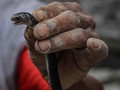 Teror Ular Kobra, Serang Bocah dan Masuk Rumah Warga