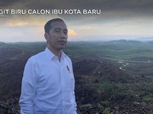 Aksi Jokowi Berlumpur di Ibu Kota Baru yang Berlangit Biru