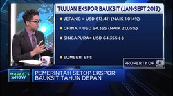 Ukur Dampak Wacana Pelarangan Ekspor Bauksit