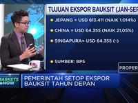 Ukur Dampak Wacana Pelarangan Ekspor Bauksit
