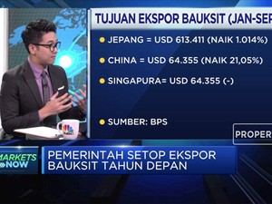 Ukur Dampak Wacana Pelarangan Ekspor Bauksit