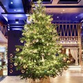 Seharga Rp 210 M, Ini Pohon Natal Termahal di Dunia!