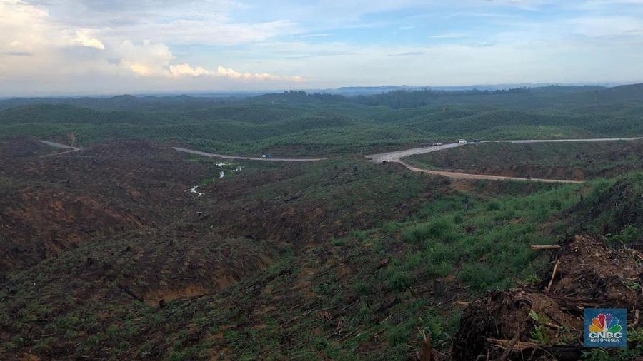 Sebagian lahan ibu kota baru di kecamatan Sepaku, Kabupaten Penajam. (CNBC Indonesia/Chandra Gian Asmara)