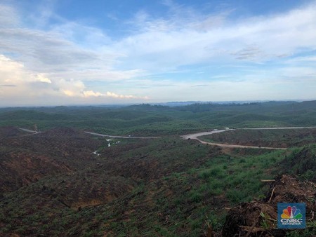 Harga Tanah Sekitar IKN 'Menggila', Masih Wajar Enggak Sih?