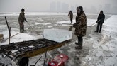 Para pekerja tidak banyak bicara selama bekerja, tetapi embusan hawa dingin terlihat dari mulut mereka yang biasanya bekerja di bawah suhu -18 derajat Celcius setiap harinya. (NOEL CELIS / AFP)