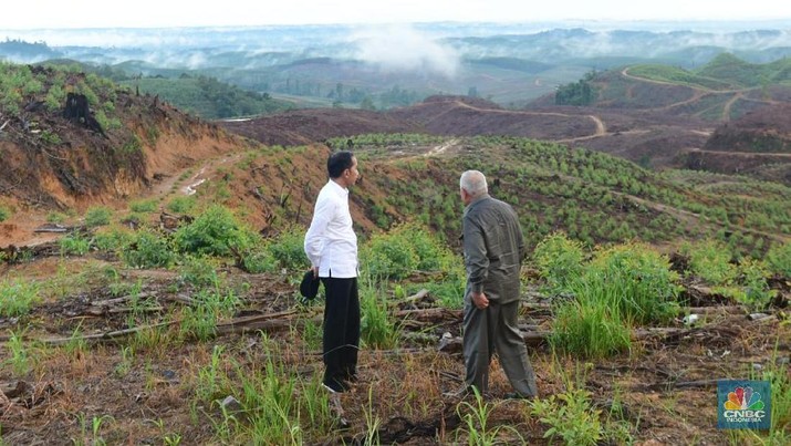 Sebagian lahan ibu kota baru di kecamatan Sepaku, Kabupaten Penajam. (CNBC Indonesia/Chandra Gian Asmara)