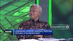 IMA: Rumitnya Aturan Hambat Industri Pengolahan SDA