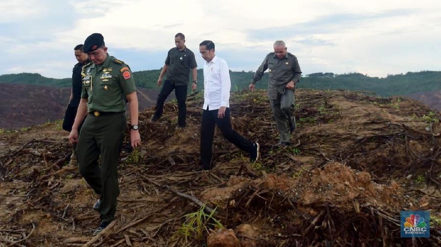 Sebagian lahan ibu kota baru di kecamatan Sepaku, Kabupaten Penajam. (CNBC Indonesia/Chandra Gian Asmara)