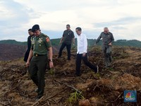 Diam-Diam Ibu Kota Baru Didatangi Dubes Asing, Kenapa?