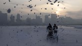 Para petani es memulai hari di Sungai Songhua, Harbin, China. (NOEL CELIS / AFP)