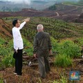 Dua Skenario Pemindahan PNS di Ibu Kota Baru & Paksaan Jokowi