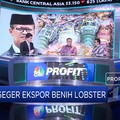 Ekonom: Larangan Ekspor Benih Berhasil Dorong Ekspor Lobster
