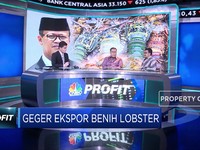 Ekonom: Larangan Ekspor Benih Berhasil Dorong Ekspor Lobster