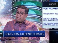 Kadin & Ekonom Bedah Polemik Ekspor Benih Lobster