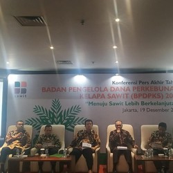 Remajakan 99 Ribu Hektare Sawit, BPDPKS Gelontorkan Rp 2,4 T