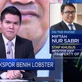 KKP Akan Buka Keran Ekspor Benih Lobster, Ini Kata Stafsus