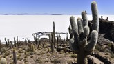 Salar de Uyuni di Bolivia ialah daratan garam terbesar di dunia. Tempat ini dikisahkan sebagai Planet Crait, yang merupakan lokasi pertempuran antara Resistance dan First Order dalam 'The Last Jedi'. (Aizar RALDES / AFP)