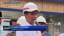 Respon Presiden & Wapres Soal Ekspor Benih Lobster
