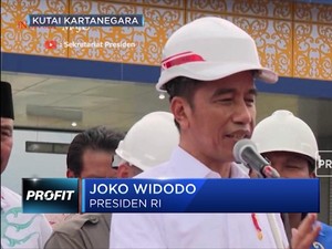 Respon Presiden & Wapres Soal Ekspor Benih Lobster