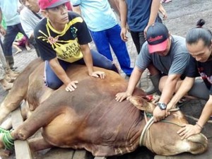7 Tradisi Natal Unik yang Cuma Ada di Indonesia