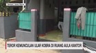 VIDEO: Teror Penemuan Ular Kobra di Aula Kantor & Rumah Makan