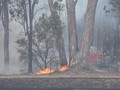 VIDEO: New South Wales Darurat Karhutla