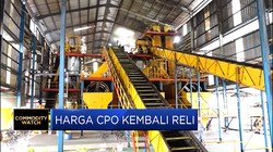 Harga CPO Kembali Reli