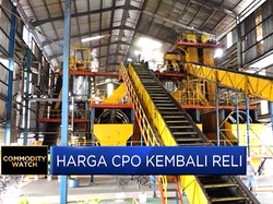 Harga CPO Kembali Reli