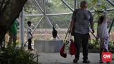 Utan Kemayoran ramah bagi semua golongan usia. Dari anak kecil hingga orang tua bisa menjadikan Utan Kemayoran sebagai tempat berekreasi, berolahraga, atau sekadar tempat bercengkrama.