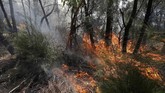 Beberapa rumah sakit bahkan mencatat peningkatan kunjungan pasien dengan masalah kesehatan pernapasan sebesar 10 persen selama seminggu terakhir. (AP Photo/Rick Rycroft)