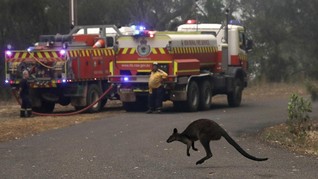 Australia Waspada Gelombang Panas, Peringatan Karhutla